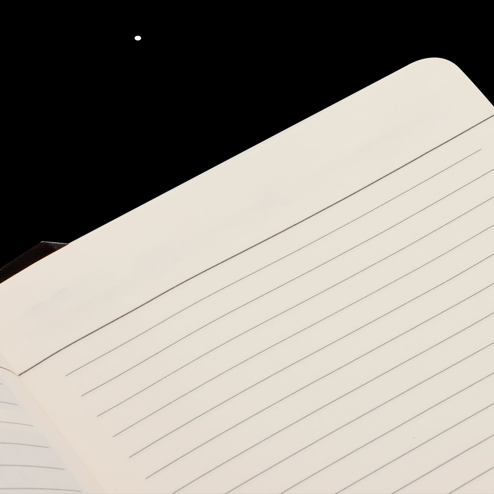 AGENDA POLIURETANO RADRIT