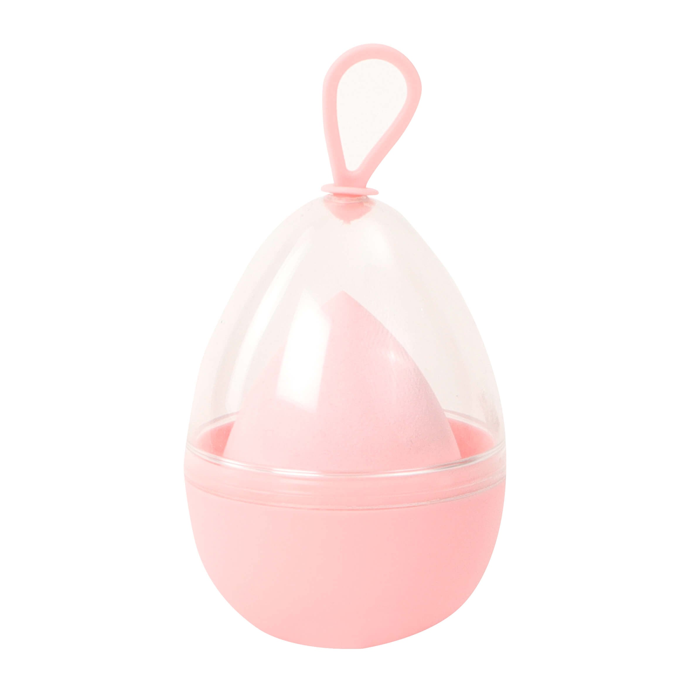 ESPONJA PLASTICO SABELX