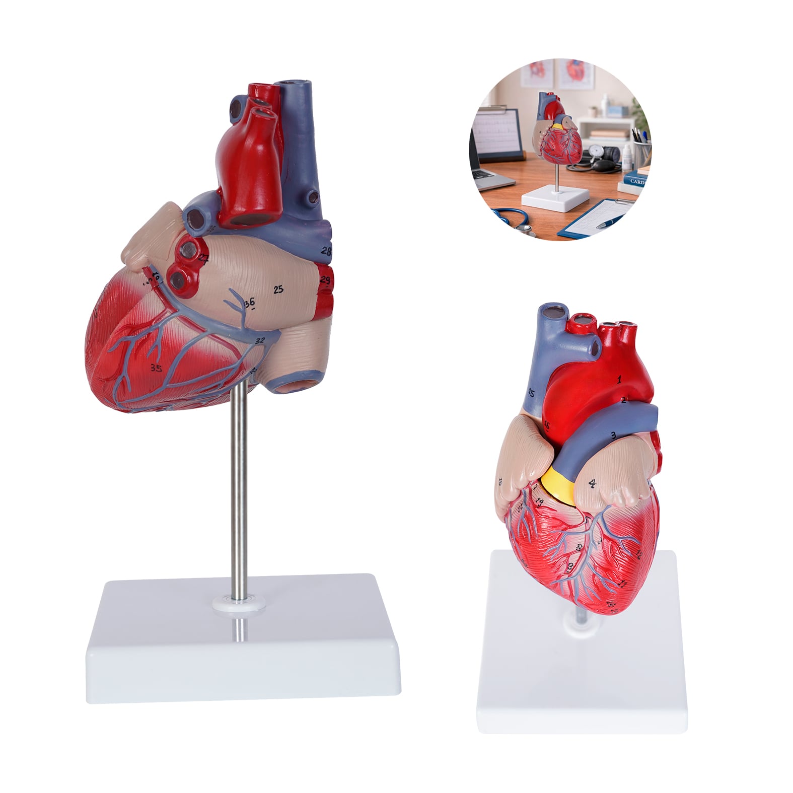 MODELO PVC SACNIX