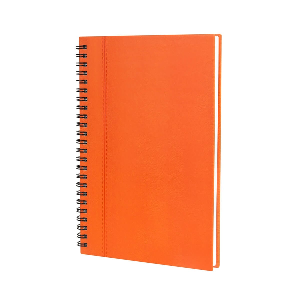 LIBRETA CURPIEL VAEOYNE