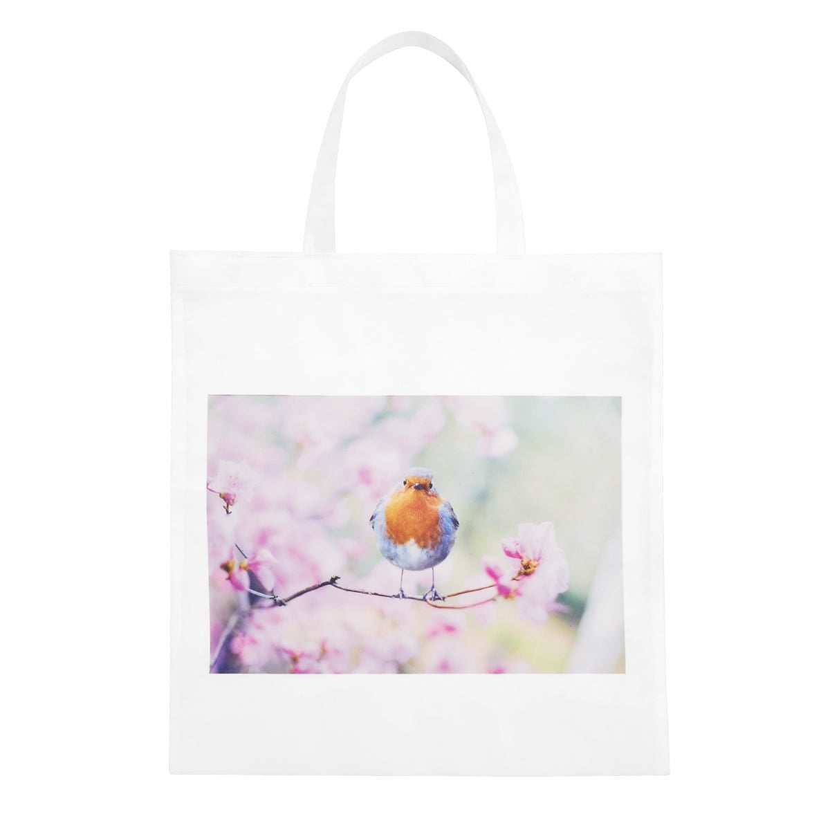 BOLSA ZACMOST