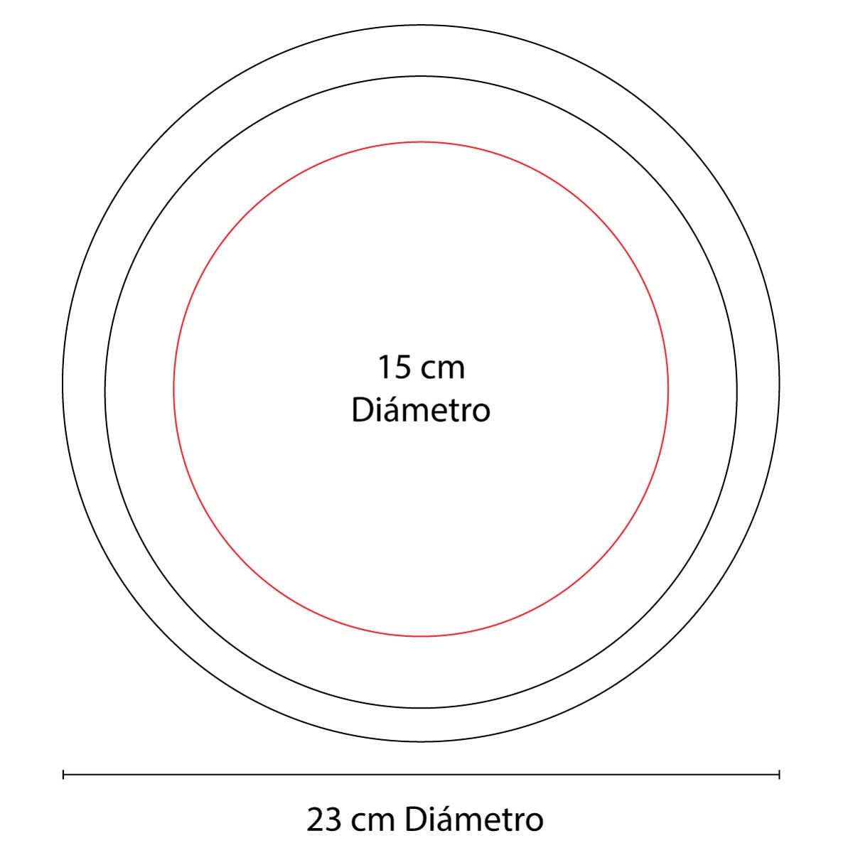DISCO PLASTICO AAERIT