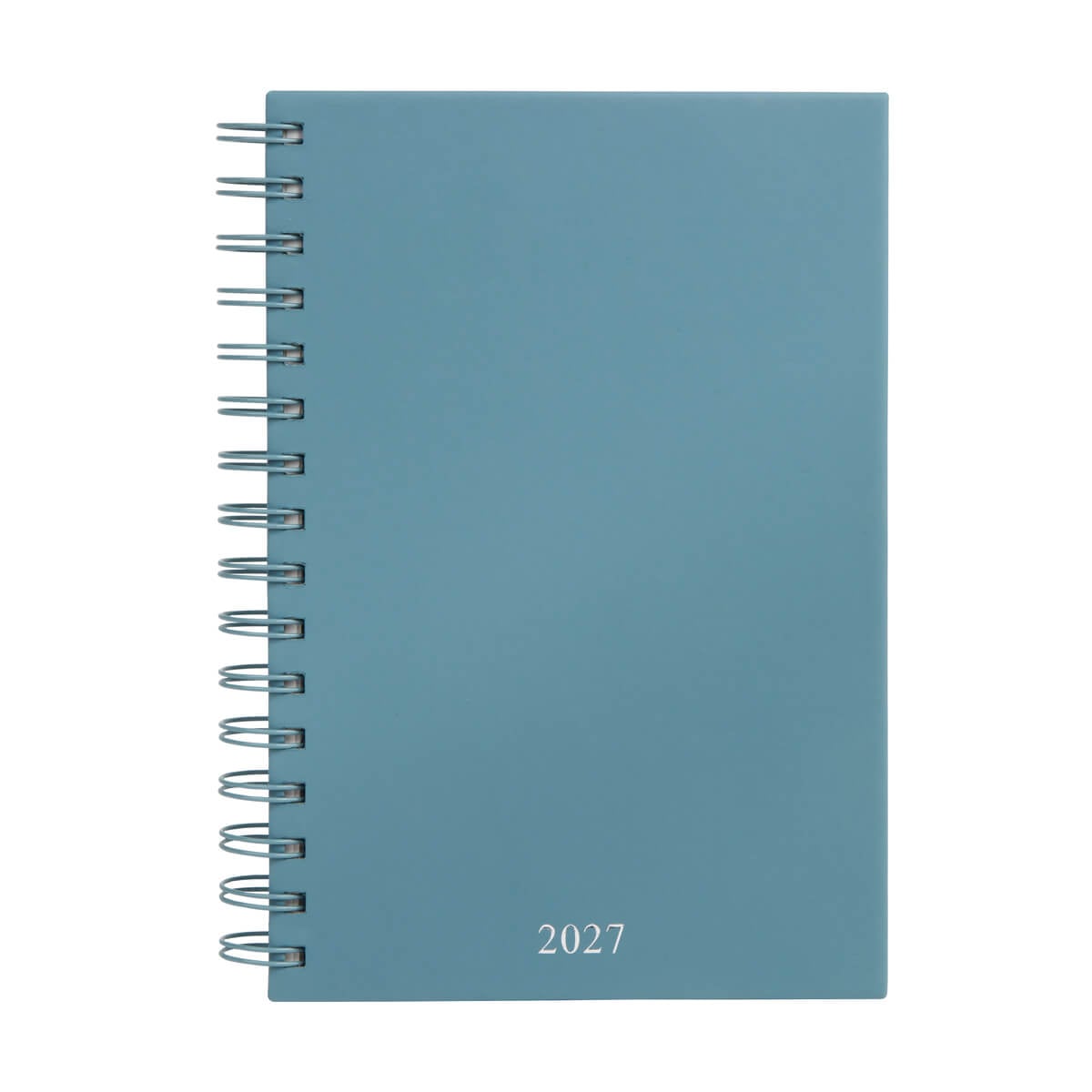 AGENDA CURPIEL BACNULP