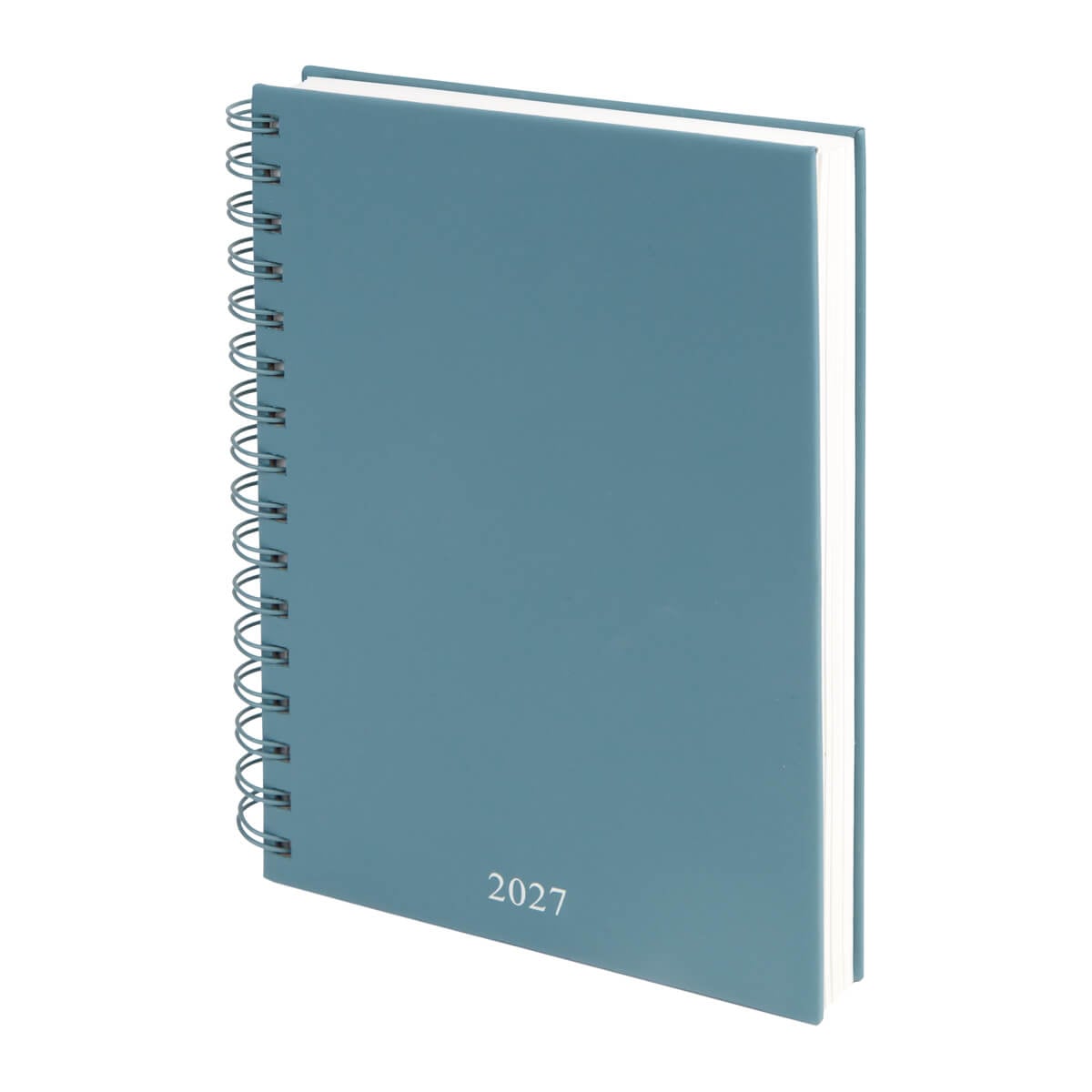 AGENDA CURPIEL BACNULP