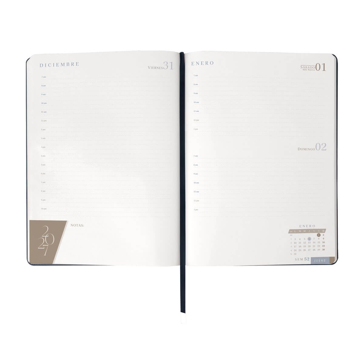 AGENDA CURPIEL BACNURN