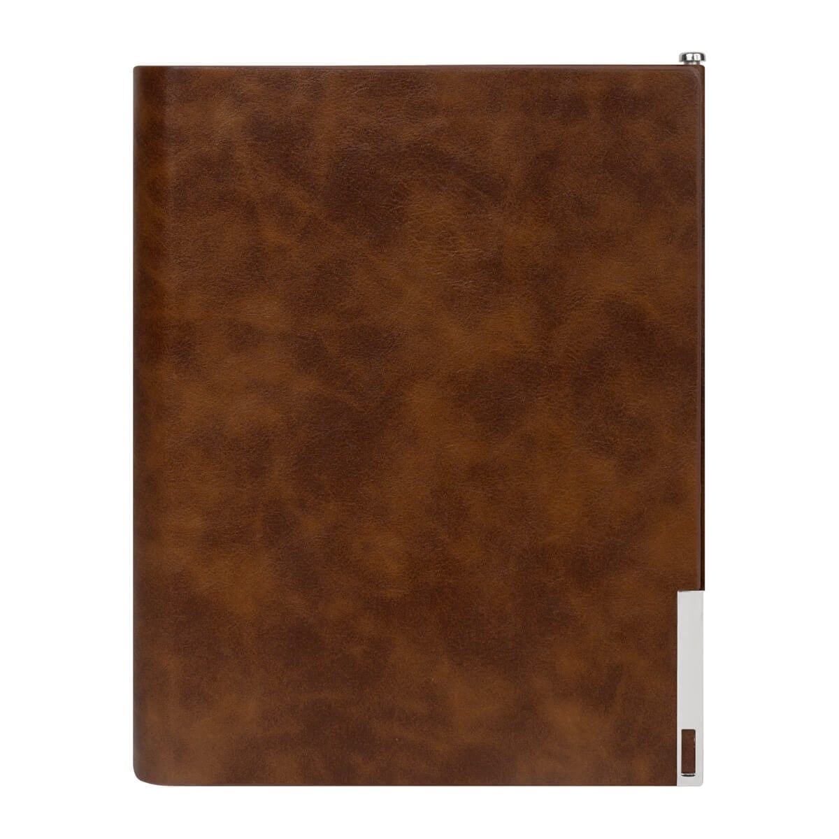 AGENDA CURPIEL BACORVY