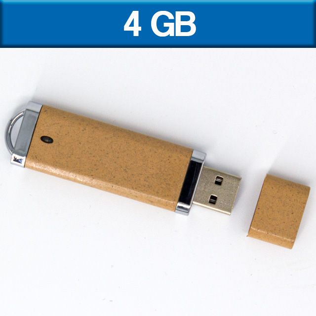 USB PLÁSTICO ECOLÓGICA 4GB LADIVS