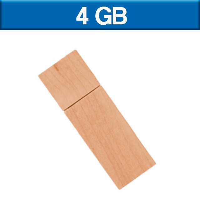 USB MADERA 4GB LADOOST