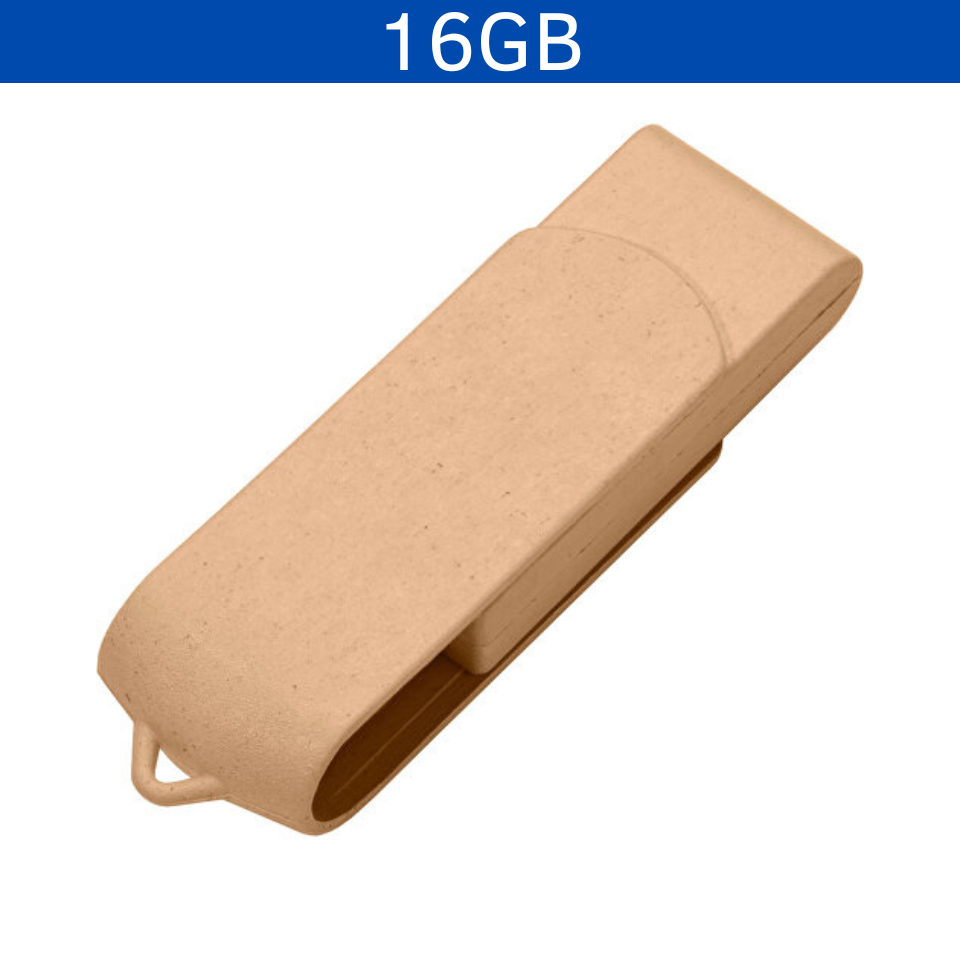 USB PLÁSTICO GIRATORIO 16GB LAEIZM
