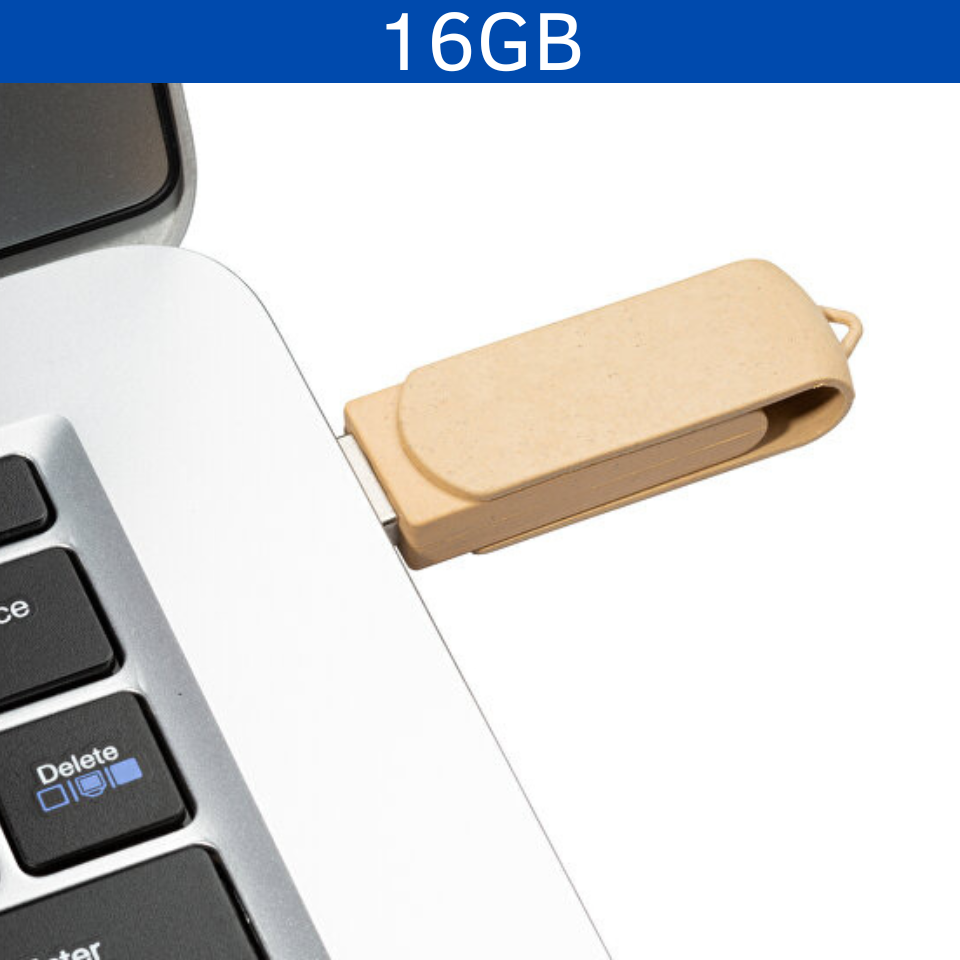 USB PLÁSTICO GIRATORIO 16GB LAEIZM