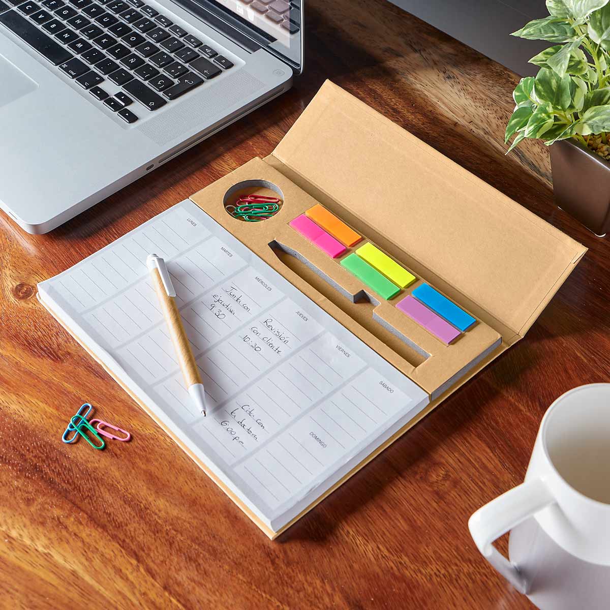 PROGRAMADOR PRISTINA