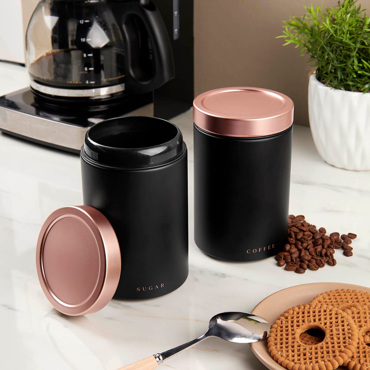 SET DE CONTENEDORES CANNES