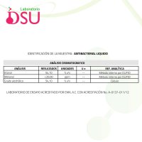 GEL PLASTICO SACLYNE