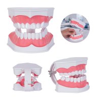 MODELO PVC SACNAVO