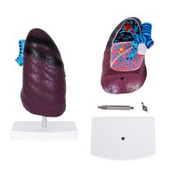 MODELO PVC SACNEYA