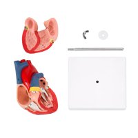 MODELO PVC SACNIX