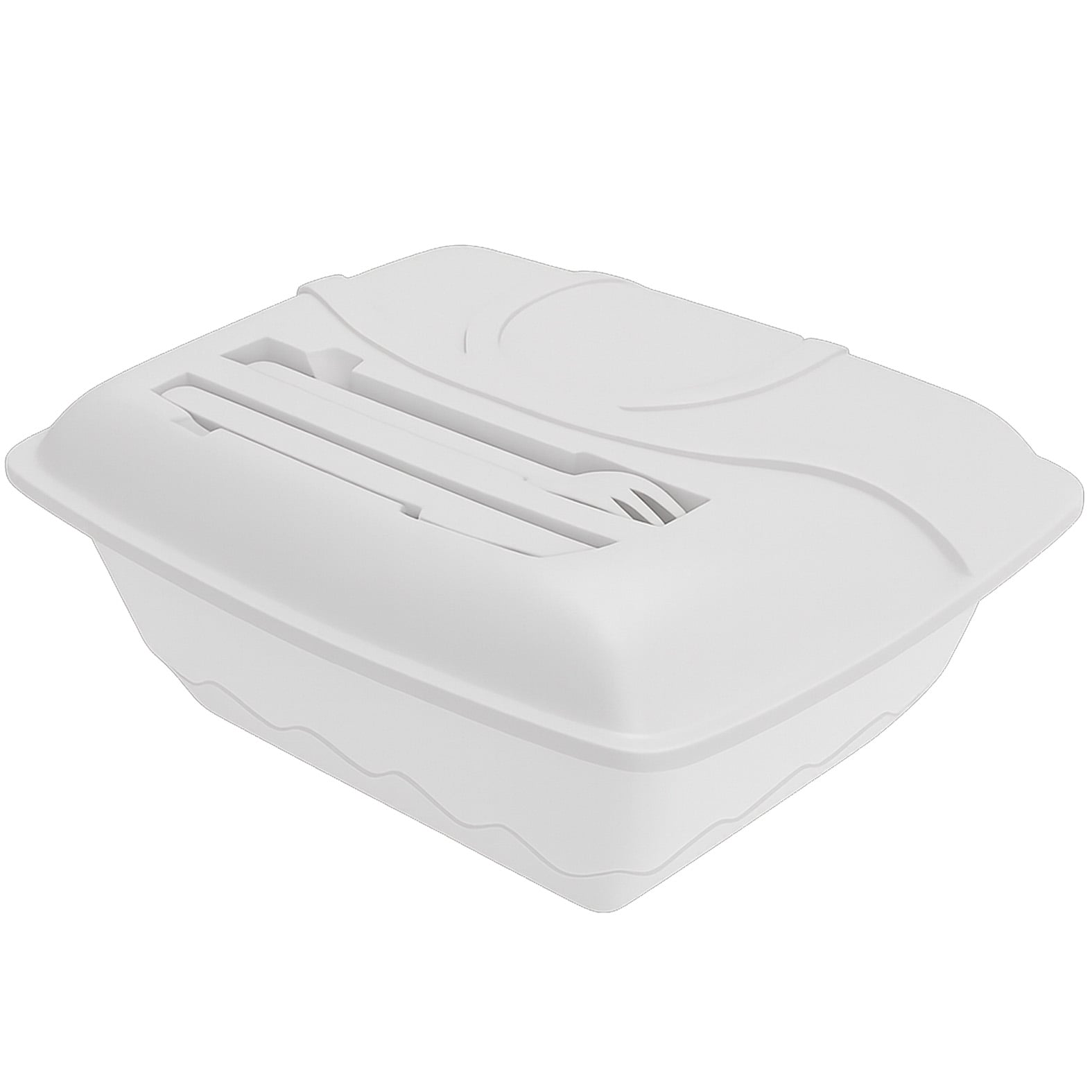 ACCESORIO LUNCH POLIPROPILEN TACNULP