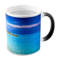 TAZA TAENIX