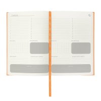 AGENDA CURPIEL BACNUELM