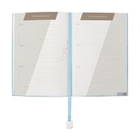 AGENDA CURPIEL BACOVRA