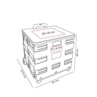 CAJA PLEGABLE GADPHE