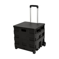 CAJA PLEGABLE GADPHE