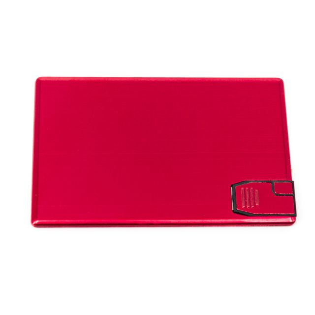 USB TARJETA 4GB LACTOSIS