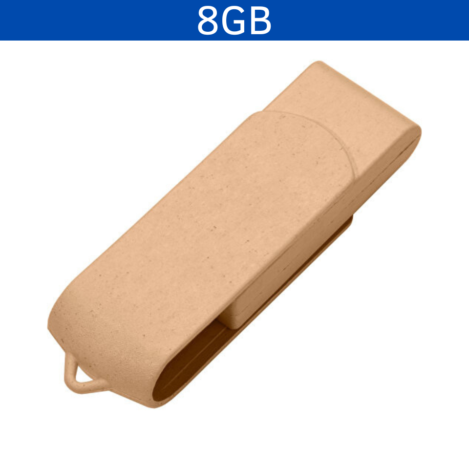 USB 8GB LADYNT