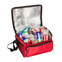 HIELERA 2 SIX 12 latas