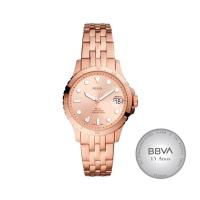 FOSSIL THE SUNSET STEEL