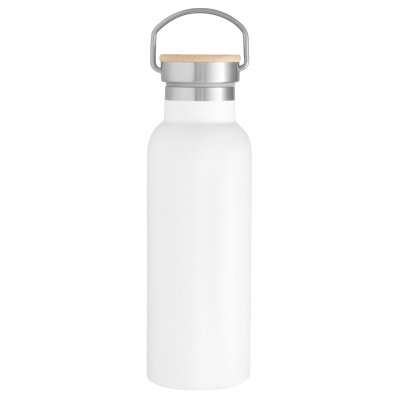 BOTELLA ACERO AACIALV