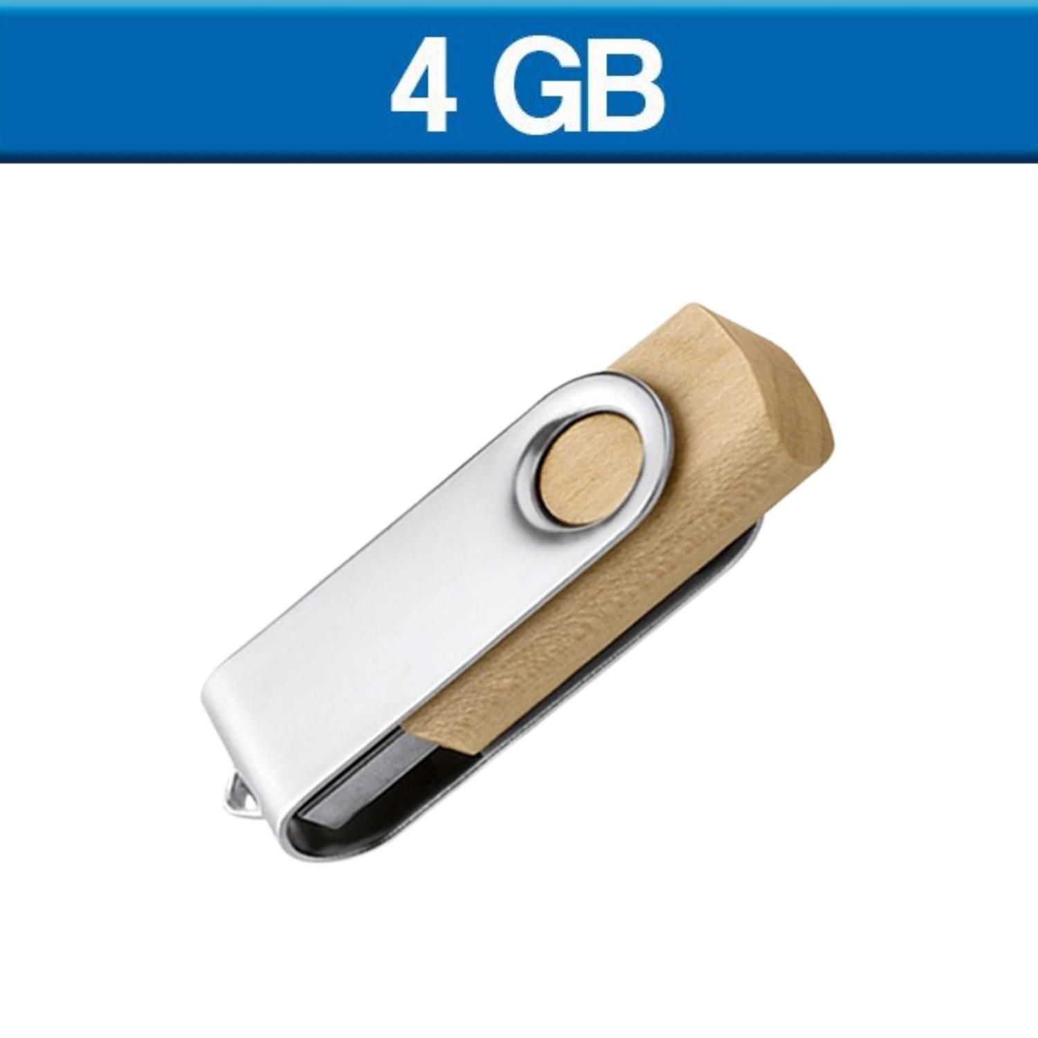 USB CLIP 4GB LADIGN