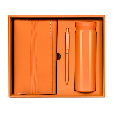 SET BIRKIN